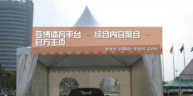 案例标题八