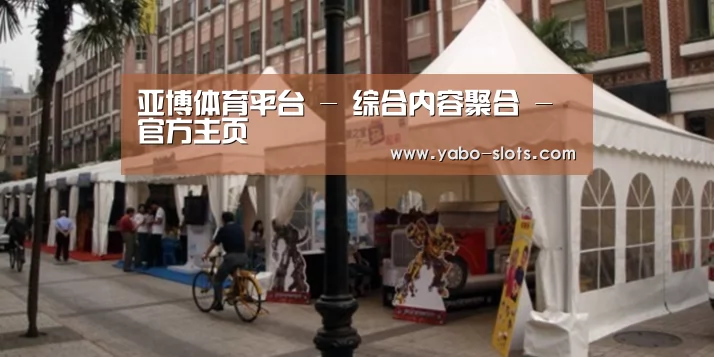 案例标题九